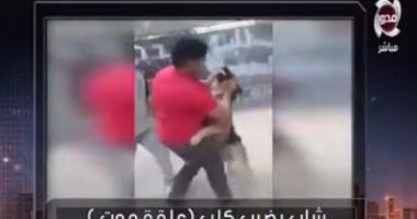 بالفيديو..شاب يضرب كلب "علقة موت"..والرفق بالحيوان: يعذبوهم بالكرباج