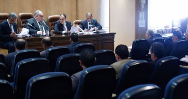 صناعة البرلمان: فرض رسوم إغراق على واردات الحديد يشجع الصناعة الوطنية