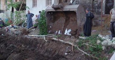 إزالة تعديات على أملاك الدولة بقرية كفر سليمان ببسيون 