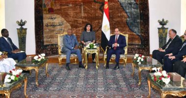 السيسي: ناقشت مع رئيس غينيا سبل تعزيز العلاقات الثنائية بين البلدين