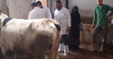 بيطرى بورسعيد يشدد على أهمية ترقيم الماشية