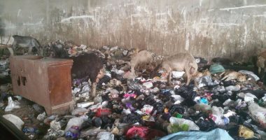 بالصور.. مواطنة تشكو من تراكم القمامة فى نفق عرابى