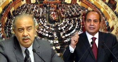 بعد 3 سنوات على إقراراه.. قانون "الحد الأقصى للأجور" يفشل فى تحقيق آماله.. يُطبق على السيسي وشريف إسماعيل والوزراء والنواب.. وأحكام وفتاوى تستبعد تطبيقه على القضاة وموظفى البنوك وقطاع الأعمال والشركات المساهمة
