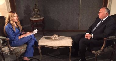 وزير الخارجية: الغارات على مواقع بليبيا "دفاع عن النفس" وسندافع عن أمننا