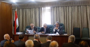 "أبو شقة": مصر فى حاجة لزيادة عدد القضاة وليس تقليلهم