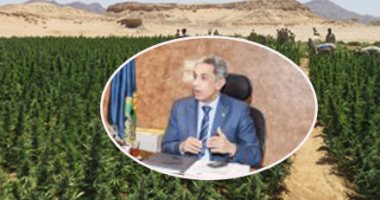  الداخلية تزلزل مملكة الكيف فى رمضان.. استهداف زراعات المخدرات بالطائرات وقطع الدروب الصحراوية على المهربين.. مصادرة 18 ألف "حبة سعادة" وإعدام 52 طن بانجو و30 كيلو هيروين.. وأسعار الحشيش تشتعل