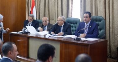 بالصور.. بهاء أبو شقة: القانون الجديد لـ"مجلس حقوق الإنسان" عصرى ويواكب الدستور