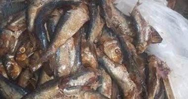  ضبط كميات من الملوحة الفاسدة بمركز المنشاة فى سوهاج