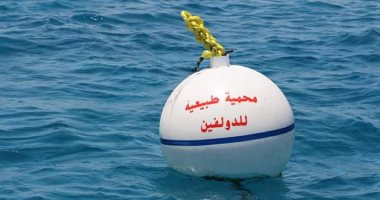 بالصور.."لعدم إزعاج الدلافين" محميات البحر الأحمر تضع علامات تحدد أماكن راحتها