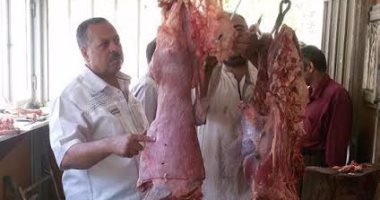 ضبط نصف طن لحوم مذبوحة خارج المجازر فى حملة تموينية بالقليوبية