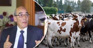 تفاصيل إحياء مشروع "البتلو" بعد توقف 13 عامًا.. "الزراعة" تحدد 10 شروط للحصول على قرض 400 ألف جنيه لصغار المربين ومليونى جنيه للشركات.. فائدة 5% وتسهيلات فى السداد.. وتشديد الرقابة لمنع ذبح صغار الماشية