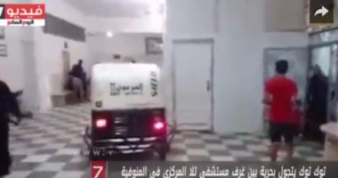 بالفيديو.. توك توك يتجول بحرية بين غرف مستشفى تلا المركزى فى المنوفية