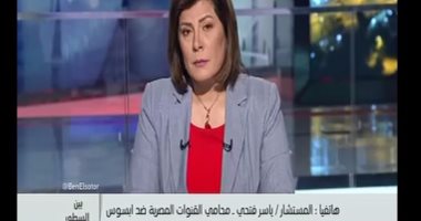 محامى القنوات المصرية: "إبسوس" أضرت بالاقتصاد وتسببت فى خسائر تاريخية