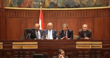  قانون الشباب يدخل مجلس النواب