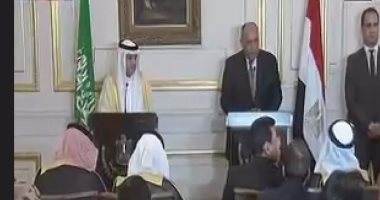 سامح شكرى: يجب حماية الأمن القومى العربى من أى تدخل خارجى