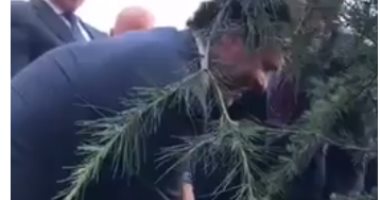 بالفيديو.. راغب علامة يشارك الرئيس اللبنانى زرع شجرة أرز بمدخل القصر الحكومى