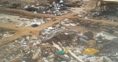 بالصور.. الإهمال يسيطر على المدينة الصناعية بالداخلة 