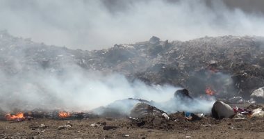 بالصور..التلوث يحاصر الزهراء بالسويس والمحافظ يرد: تعليمات برفع القمامة