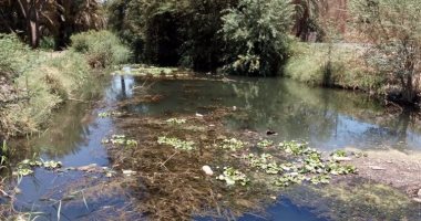 بالصور.. أهالى الرمادى بإدفو يشكون من نواتج تطهير ترعة الساحل
