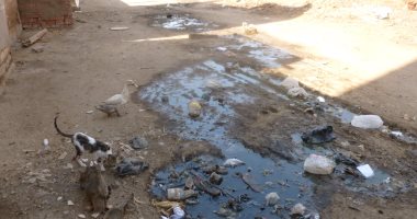 شكوى من انتشار مياه الصرف الصحى أسفل منازل قرية كفر الحمادية بالمنوفية