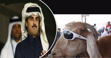 تميم العنز يتصدر تويتر السعودية.. مغردون: الله يسود وجهه دمر قطر بسياسة أبوه