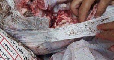بالصور.. ضبط لحوم ودواجن فاسدة فى حملة مكبرة على محال الجزارة ببورسعيد
