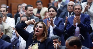 بالصور.. النواب يهتفون "تحيا مصر" وعاصفة تصفيق حاد عقب كلمة ممثل الجيش
