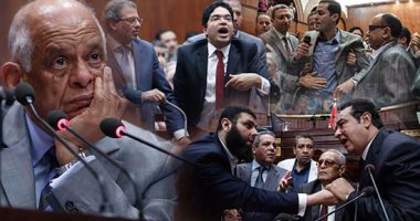 وقائع يوم ساخن جدا.. "تشريعية النواب" تقر اتفاقية تعيين الحدود بأغلبية 35 عضوا.. "الدفاع" تستعد لمناقشتها فور إحالتها لها.. أحمد الطنطاوى يعتدى على خبير جغرافى ويكسر المايك.. والحريرى يخلع الجاكيت لنائبة