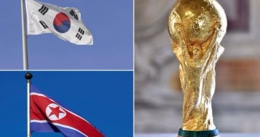 ملف مشترك بين كوريا الجنوبية والشمالية والصين واليابان لتنظيم مونديال 2030