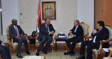 سامح شكرى يؤكد لكوبلر ضرورة إيجاد حلول تضمن الحفاظ على كيان الدولة الليبية