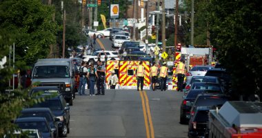 الخارجية الأمريكية عن حادث فيرجينيا: تصرف غير منطقى ويتحدى القيم 