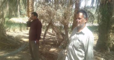 بالفيديو والصور .. شئون البيئة بالداخلة تبدأ أعمال تنظيف منطقة بئر الحدادين