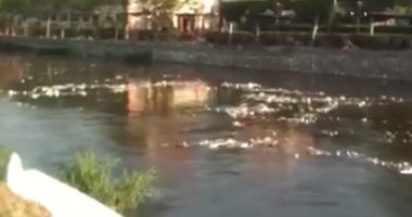 بالصور.. المخلفات تنتشر فى بحر مويس بمنيا القمح والأهالى يستغيثون