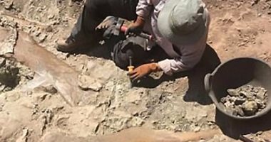 اكتشاف آثار أقدام ديناصور تعود للعصر الجوراسى بولاية تطاوين التونسية