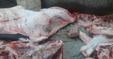 بالصور.. ضبط طن لحوم نافقة وغير صالحة قبل طرحها بالأسواق فى الفيوم