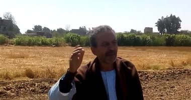 شيخ الصيادين بزفتى: مبقاش فى زريعة سمك بالنيل والمركب بتصطاد كليو فى اليوم