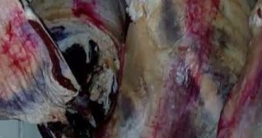 إزالة تعديات على 3 قراريط بحامول كفر الشيخ وإعدام سلع غذائية فاسدة