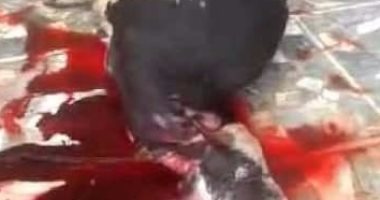 بالصور.. ذبح عجلين احتفالا بالانتهاء من هدم عقار الأزاريطة وإفطار بحضور قيادات المحافظة