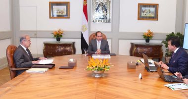 السيسى يجتمع بوزير التعليم العالى ويوجه بإنشاء منطقة الابتكار فى العاصمة الإدارية