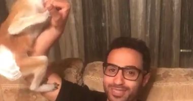 الممثل الشاب أحمد فهمى يظهر بـ"نسناس" على "تويتر" فى بث مباشر.. يرد على أحمد السقا: "هقف فى ضهرك".. يشيد بأداء يوسف الشريف.. ويؤكد: "لو شاركت دنيا سمير غانم هنطلع شغل كويس أوى"