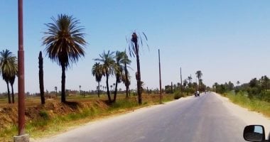 بالصور .. محافظ سوهاج : تركيب 35 عامود إنارة جديد فى طريق طهطا / طما