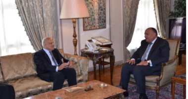 وزير الخارجية يبحث مع الدكتور مجدى يعقوب سبل التعاون بأفريقيا ودول حوض النيل
