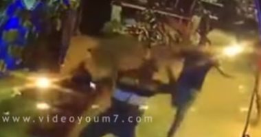 إصابة 4 أشخاص فى مشاجرة بسبب خلافات على أولوية المرور بالمنوفية
