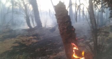 بالفيديو والصور.. حريق يلتهم 40 فدانا ومبنى وحدة صحية ومدرسة بالوادى الجديد