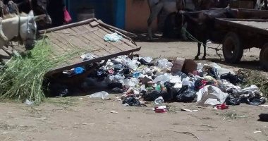 بالصور.. عربات "الكارو" تزعج أهالى شارع أبو هميلة فى الجيزة
