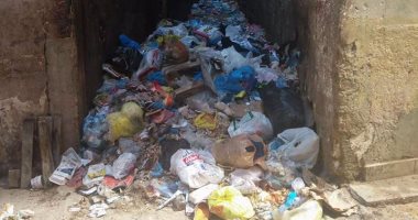 انتشار القمامة فى شوارع باكوس بالإسكندرية.. وقارئة تطالب بصناديق لجمعها