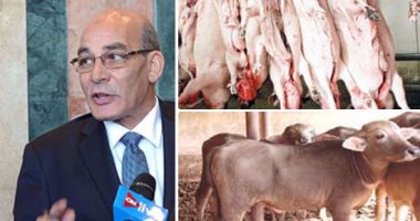 "الزراعة" تستأنف صرف قروض "البتلو" بعد العيد.. نائب الوزير: تسهيلات فى شروط الحصول على القرض بفائدة 5%.. خفض سعر طن النخالة 300 جنيه للمستفيد.. وتفعيل قانون حظر الذبح بـ479 مجزر حتى بلوغ السن المطلوب
