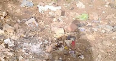 القمامة تحاصر مدخل "شنشور" بالمنوفية والأهالى يستغيثون بالمحافظ