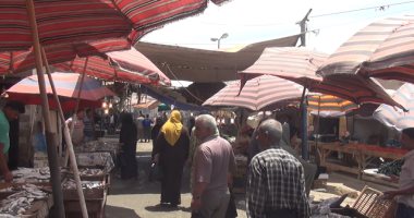 بالصور.. الصيد الجائر فى خليج السويس يقضى على الثروة السمكية.. أصحاب مراكب الصيد: قطاع الصيد فى نكسة.. تجار أسماك: فلائك صيد تخالف القانون أمام الجميع.. اختراق كامل لقرارات وقف الصيد ولا توجد رقابة 