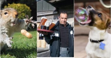 هتعمل إيه لو كنت مكانهم..صور تم التقاطها فى الوقت المناسب